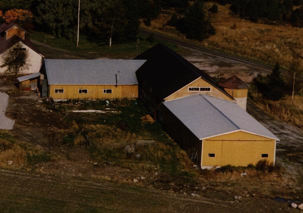 TAUSTAA