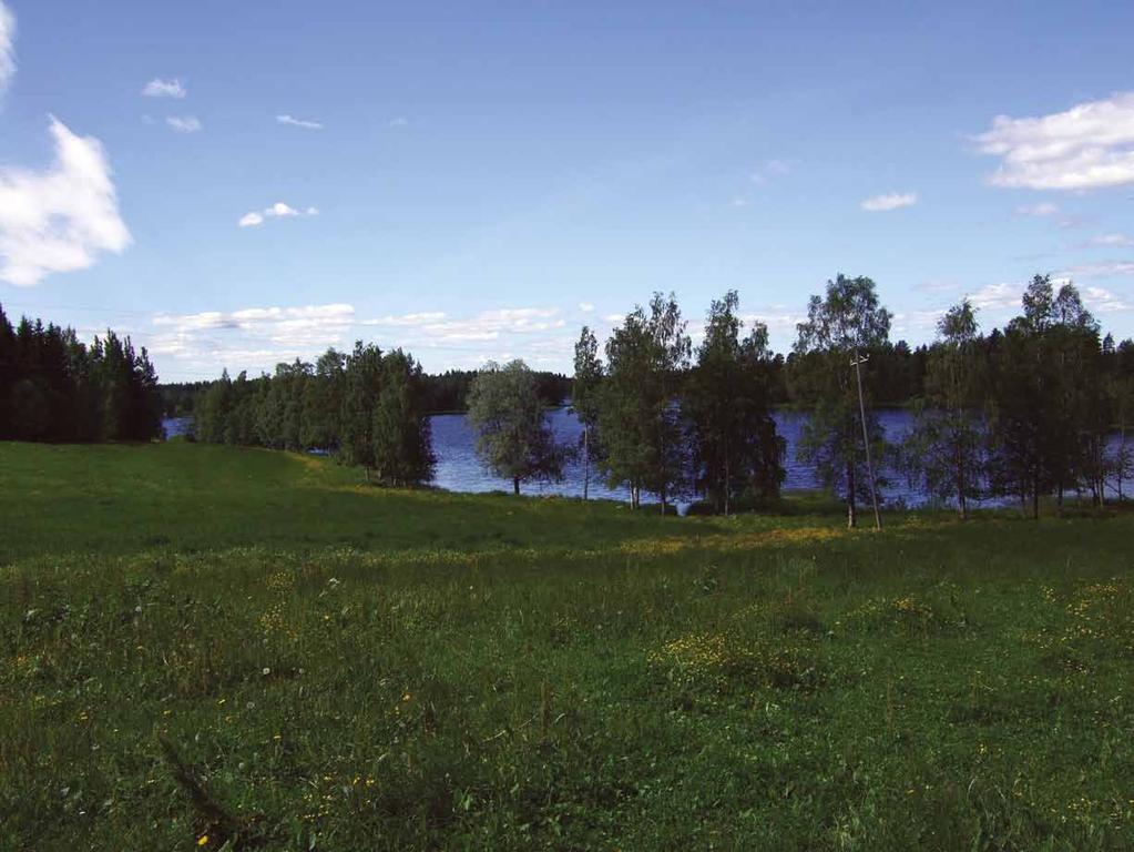 18. Reunavyöhykkeet (a), vanha laidun (b) ja laidunnettu ladonympärys (c) Kuvaus: Moijasjärven Pitkäniemenlahden rajoittuvien peltojen reunavyöhykkeillä (a) on maisemallista merkitystä niiden