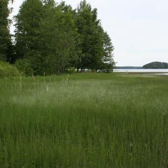 Alueeseen kuuluvat kiinteistöt 635-415- 1-144, 635-415-1-25, 635-415-1-141, 635-415-1-142, 635-415-1-188 ja 635-415- 1-189. Alue on kokonaisuudessaan yksityisessä omistuksessa.