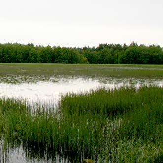 Rakennuspaikkoja ympäröivät metsät on osoitettu metsätalousvaltaisiksi alueiksi (M). Suunnittelualueessa on mukana pieni alue peltoa, joka on osayleiskaavassa osoitettu maatalousalueeksi (MT).