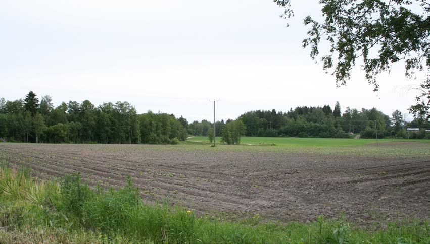OSALLISET Pälkäneen Kuulialan asemakaavan yhteydessä osallisia ovat: Suunnittelualueen maanomistajat Suunnittelualueeseen rajautuvien kiinteistöjen maanomistajat Pirkanmaan ELY-keskus Pirkanmaan