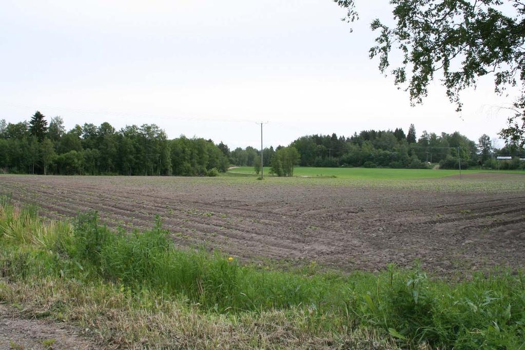 3 LÄHTÖKOHDAT 3.1 Selvitys suunnittelualueen oloista Yleistä Suunnittelualue on pääosin metsää.