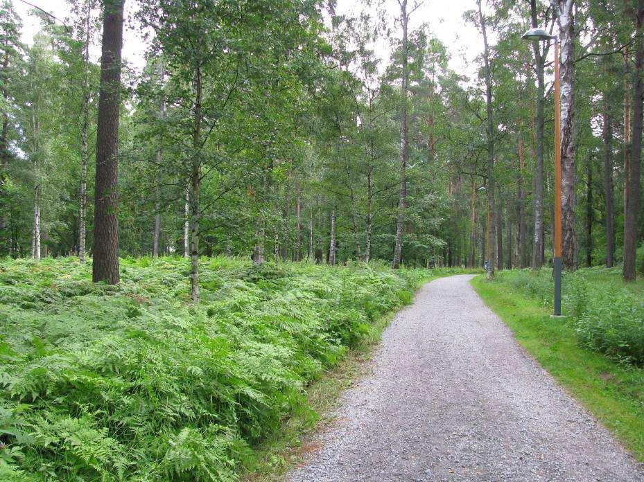 2 KOHTEEN KUVAUS 2.1 Yleiskuvaus Piikahaka sijaitsee Tampereen Raholassa, Nokiantien ja Tesoman valtatien kulmauksessa.