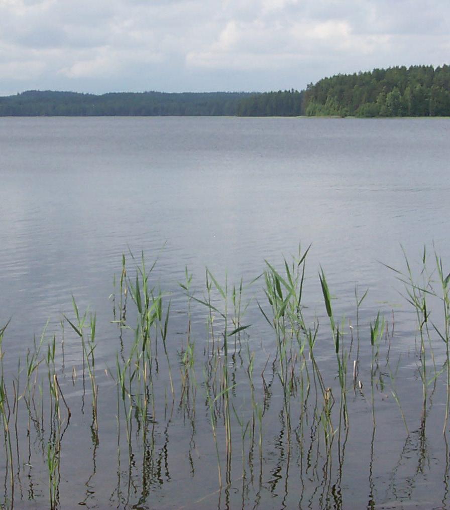 RAPORTTEJA 7 2013 Ympäristön tilan