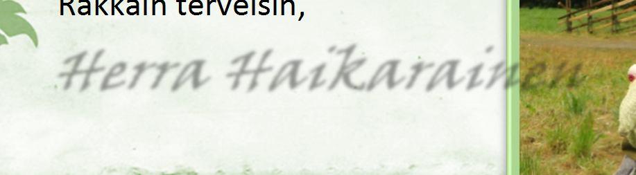 Minkälaisia maisemia taulukehyksien sisään rannalta nyt löytäisimmekään! Ja kaikki ne kesällä löytämämme ihmeelliset otukset jokirannalla ja vedessä Mitäköhän niille kuuluu?