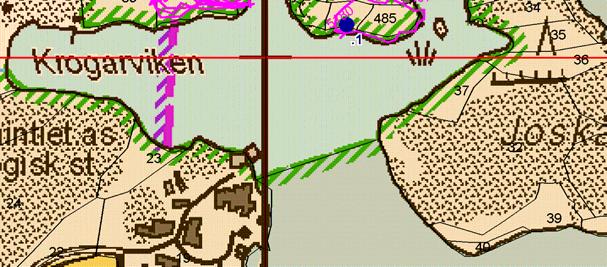 Långholmenin suojelualueen kartoitettu alue (GPS-kartoitusjäljet) ja kuvionumerointi.