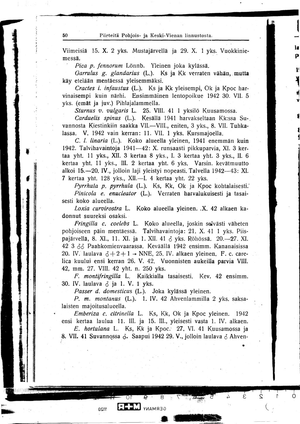 50 Piirteitä Pohjois- ja Keski-Vienan linnustosta.. Viimeisiä 15. X. 2 yks. Mustajärvellä ja 29. X. 1 yks. Vuokkinie- messä. Pica p. fennorum Lönnb. Yleinen joka kylässä. Garrulus g. glandarius (L.).