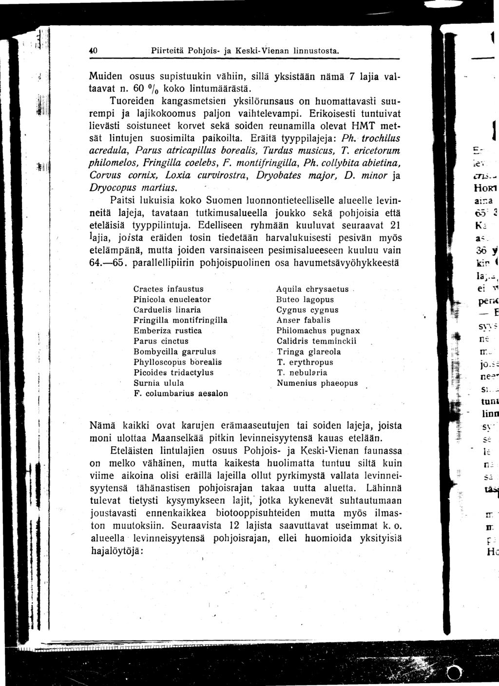 40 Piirteitä Pohjois- ja Kesk i- V ienan linnus tosta. Muiden osuus supistuukin vähiin, sillä yksistään nämä 7 lajia valtaavat n. 60 /o koko lintumäärästä.