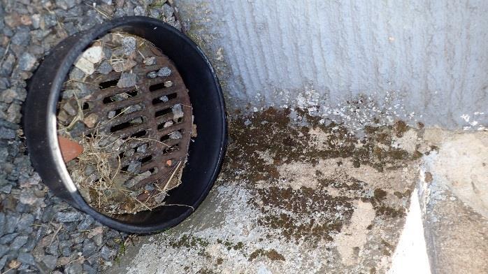 Patolevyn yläreunassa ja sokkelin välissä on rakoilua.