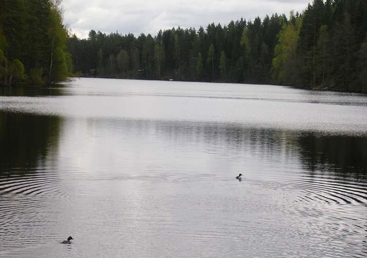2008 Hämeenlinnan Seudun Vesi