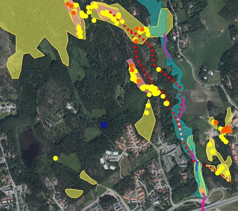 Luontoarvot 1 Liito-oravat Ydinalue Potentiaalinen elinalue Papanapuu