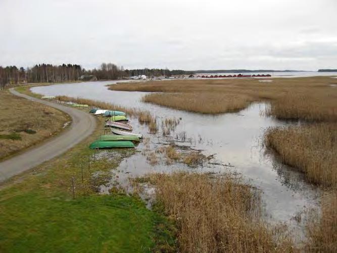 yhteistarkkailu Yhteenveto Water monitoring of Puhos area