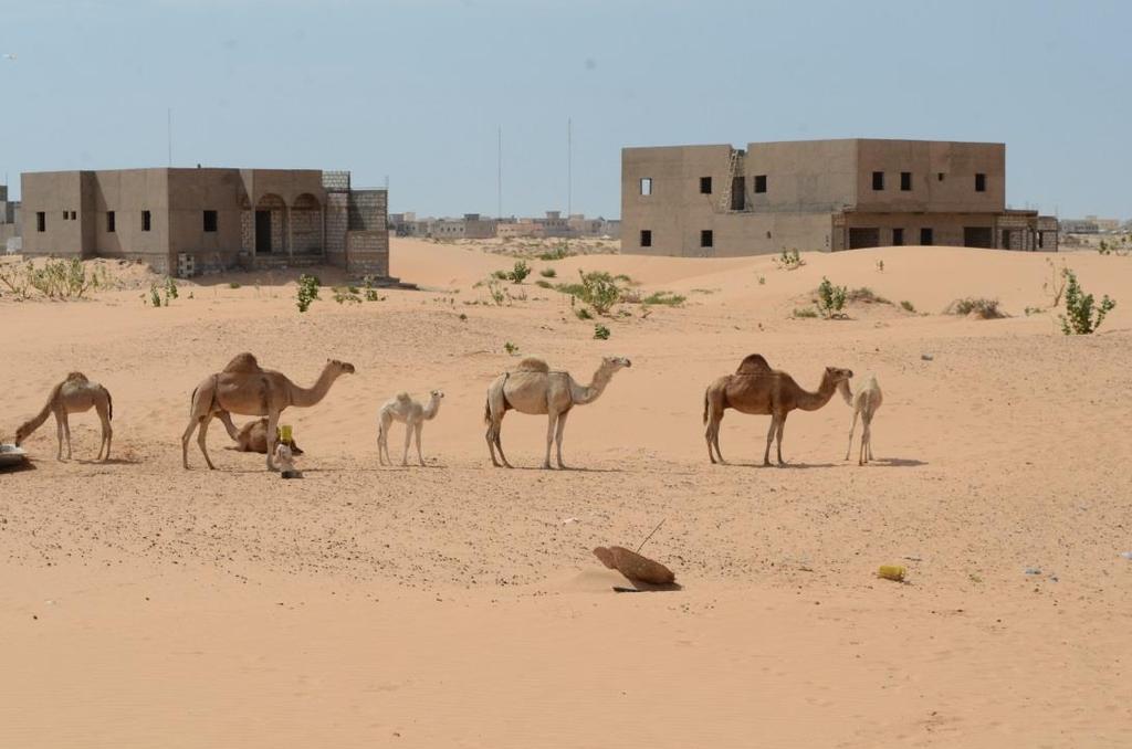 01.05.2017 KUMMIKIRJE Dakar, Senegal / Nouakchott, Mauritania Hyvät Mauritanian lasten kummit! Tuon teille tuoreita terveisiä Mauritaniasta, jossa kävin vastikään.