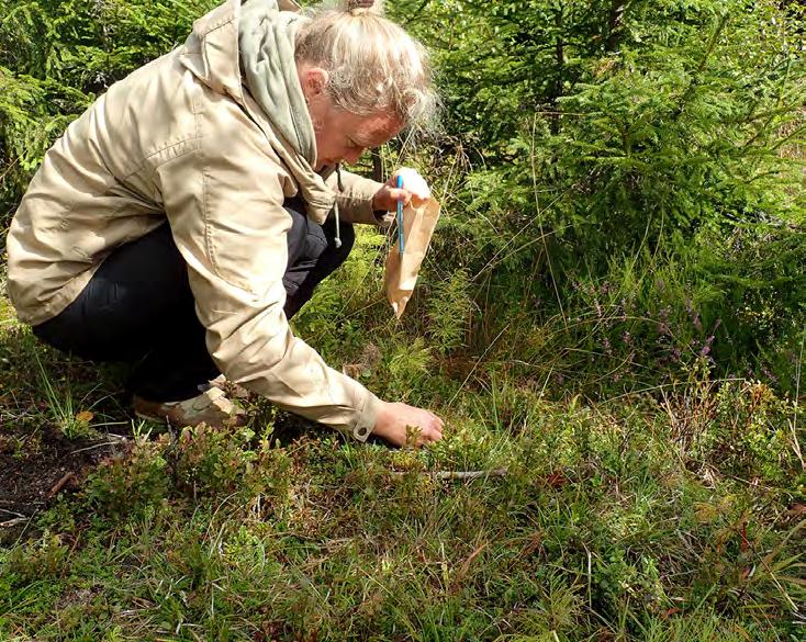 Yksityiskohtainen dokumentaatio mahdollistaa kokoelmien kattavan hyödyntämisen myös tulevaisuudessa, ja kohdelajien priorisointi ohjaa rajalliset resurssit niille lajeille, jotka vaativat