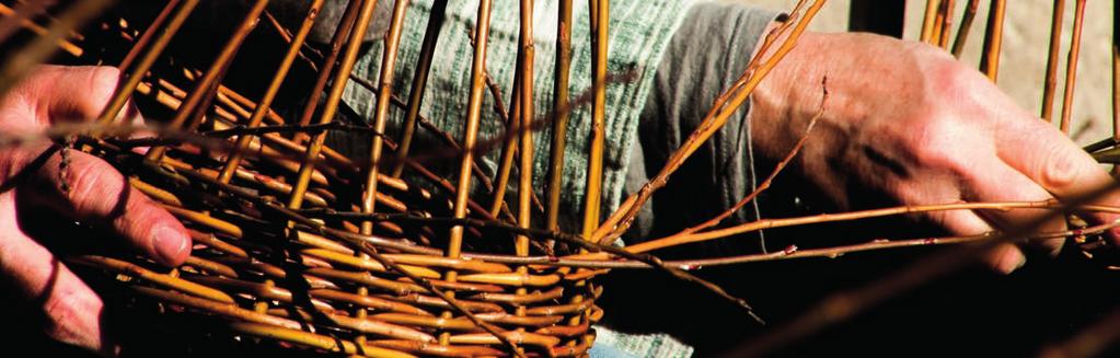 Monte Pisano Italy Season Kausi March - April, September - November maalis-huhtikuu, syys-marraskuu Price Hinta 700,00 Weaving willow baskets Korinpunontaa Monte Pisanossa The offer includes 4