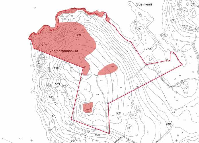 Päätelmät Susiniemen luontotyypit ovat verraten arvokkaita pieneen pinta-alaan nähden, sillä alueella on runsaasti metsälakikohteiksi tulkittavia kallioalueita (kuva 3).