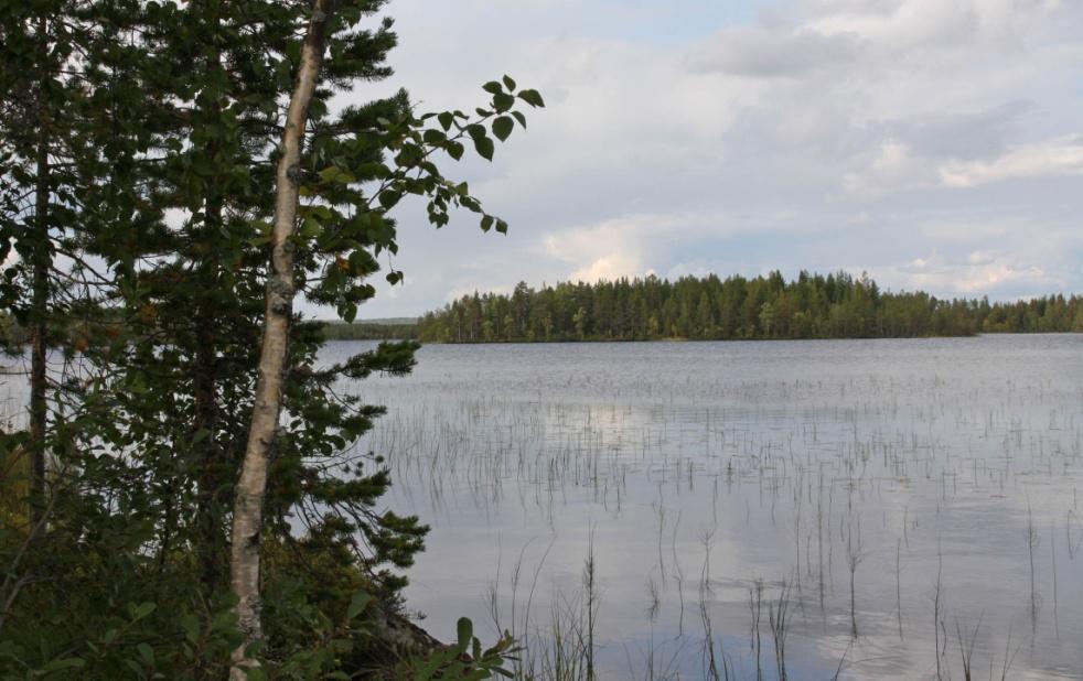 Konttijärvi, Yli-Portimojärvi, Niiittylampi, Palolampi ja Suhankojärvi sekä joitakin pienempiä lampia.