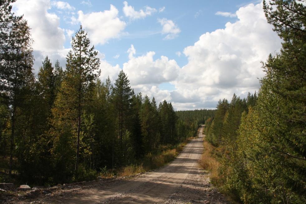 Alueen metsät ovat pääsääntöisesti metsätalouskäytössä, ja suurin osa metsäalueista on tavanomaista havupuuvaltaista kangasmetsää.