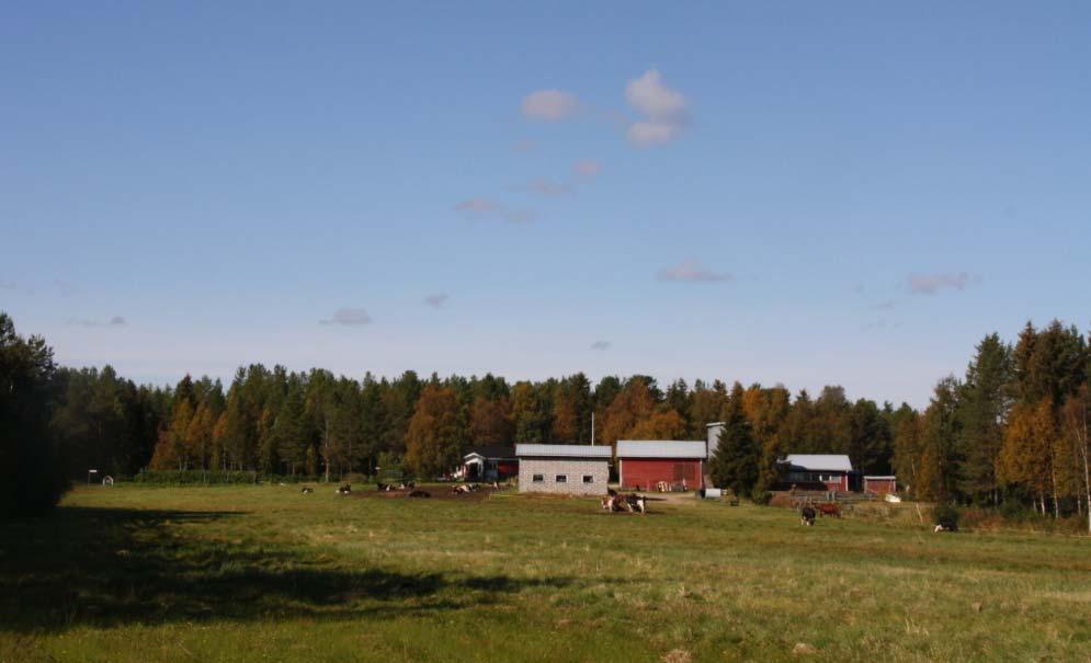Portimojärven itäpuolelle sijoittuu Saukkojärven kylä. Rovaniemi-Ranua -kantatien varressa muista kylistä Narkaus sijoittuu yli 13 km ja Kivitaipale yli 20 km etäisyydelle kaivosalueesta.