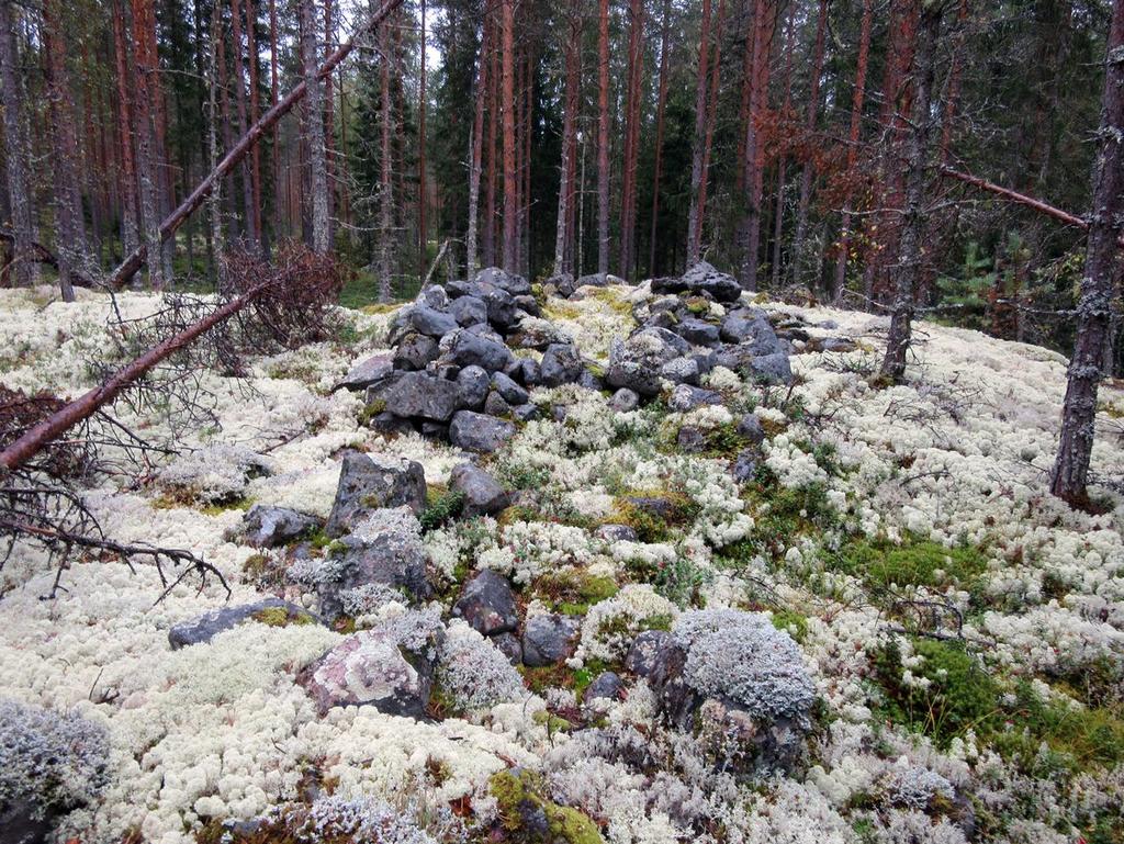 Maastotiedot: Kohde sijaitsee Kalajoen keskustasta 5 km itäkoilliseen Marjanevan turvetuotantoalueen pohjoispuolella. Paikka on metsäisellä alueella pieni, suhteellisen jyrkkärinteinen kallio.