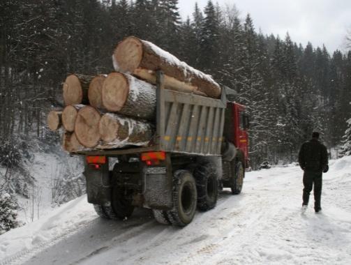 Lisäksi yhtiön metsät työllistävät useita satoja henkilöitä urakoitsijoiden kautta