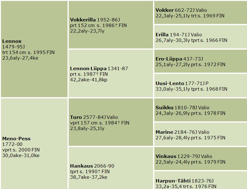 o. Menolexa Rols syntynyt: 11.6.2014 väri: rautias kasvattaja: Ilkka Huikkala, Harjavalta Ori opetetaan ennen huutokauppaa. Se on rohkea ja mitään pelkäämätön varsa, joka on kasvanut isossa laumassa.