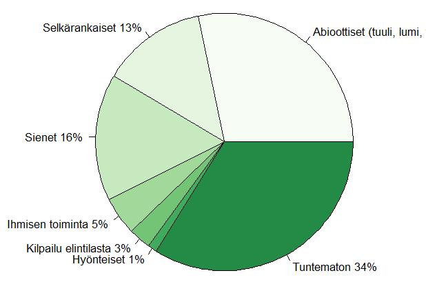 kaiken kaikkiaan 47 % puuntuotannon