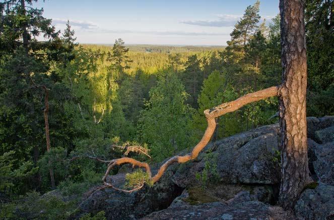 Työkokemus tärkeää tulevaisuuden kannalta. Kylällä on yli 40 yrittäjää, joista monet toimivat kotitoimistosta käsin.