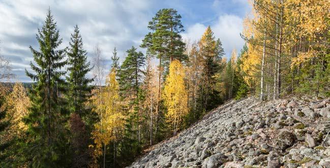 VaVi-hanke yhteistyössä 4H:n, koulun ja yrittäjien kanssa ->2018 syksyyn saakka VaVi-hanke -> 2018 syksy, paikalliset yrittäjät ja etätyöntekijät, kiinteistöjen