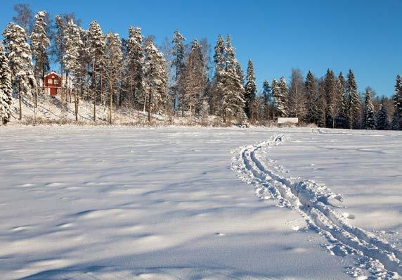 Lisäksi päiväkoti- ja alakoulurakennukset ovat peruskorjauksen tarpeessa eikä kunnalla ilmeisesti resursseja rakennuksien korjaamiseen. Yläkoulun nykyinen vuokrasopimus kunnan kanssa päättyy 2019.