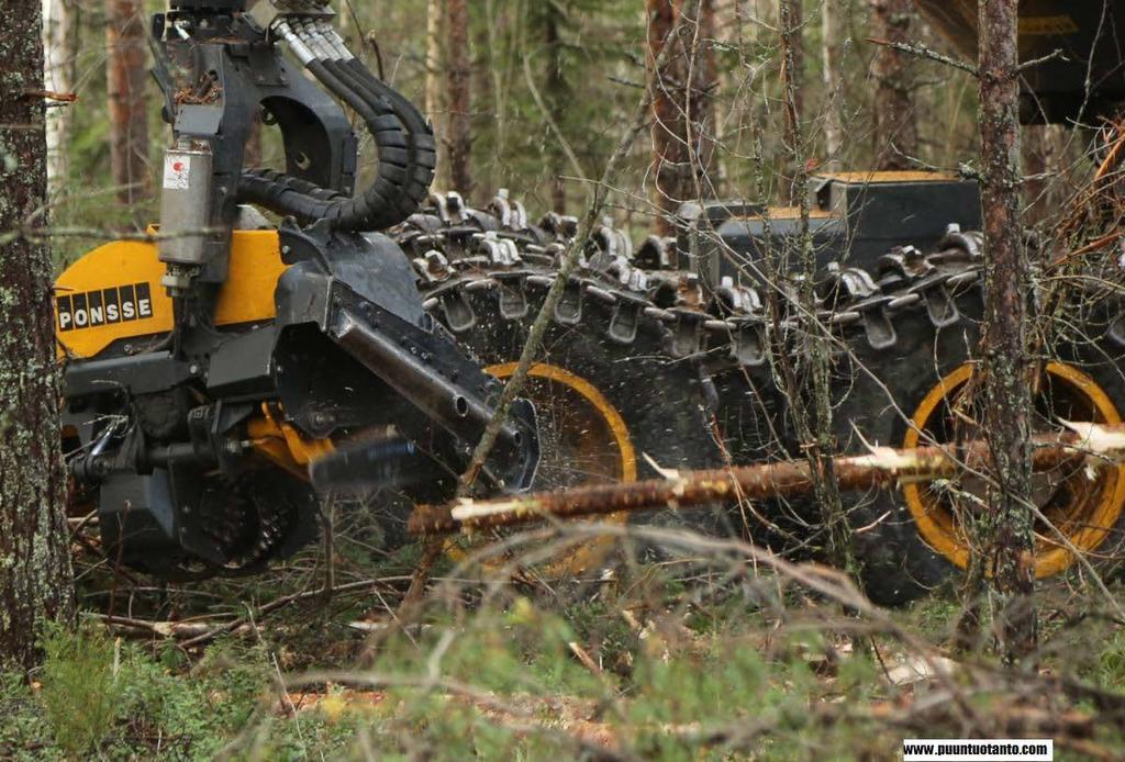 Luonto tuottaa raaka-aineita monelle toimialalle. Puuta hyödyntävät mm.