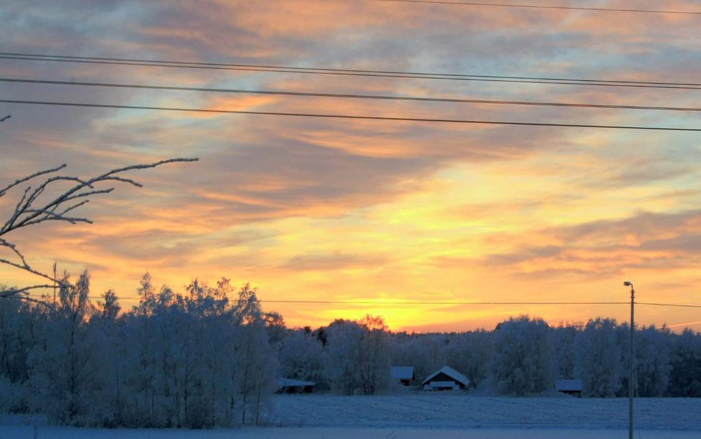 Metsät ja muu luonto tarjoavat ihmisille