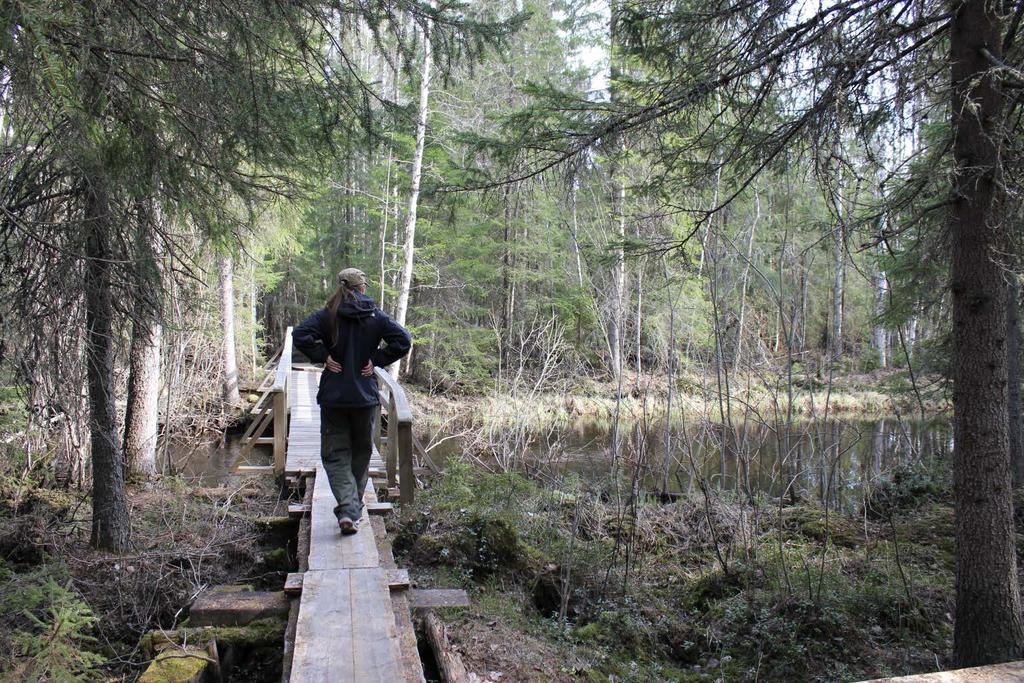 Suomalaiset ovat aktiivisia ulkoilijoita ja luonnossa