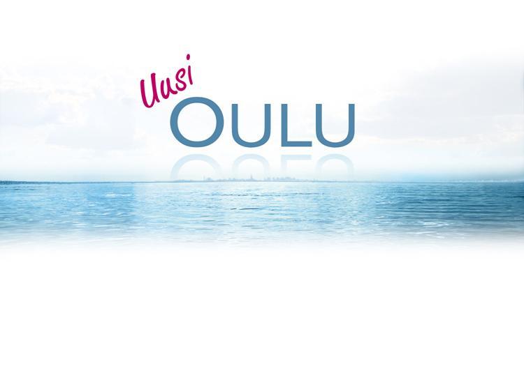 Toimikuntien tehtävät H A U K I P U D A S, K I