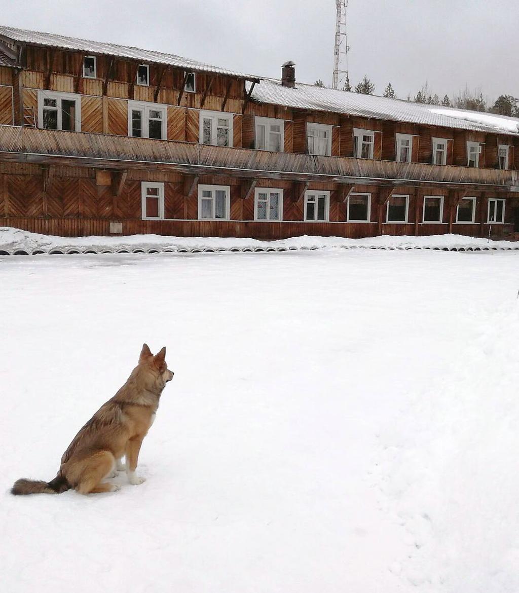Lappilehti SUOMEN VAPAAKIRKON LAPIN LÄHETYS 1 2017 Uutisia