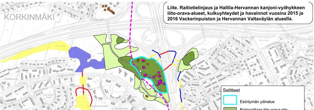 Kuva 6. Hallilan liito-oravahavainnot 43. 8.5 Koivusenojannotko (Hervannan kanjoni) Koivusenojan notko on syvä kanjoni, jolla on jyrkät metsäiset rinteet.