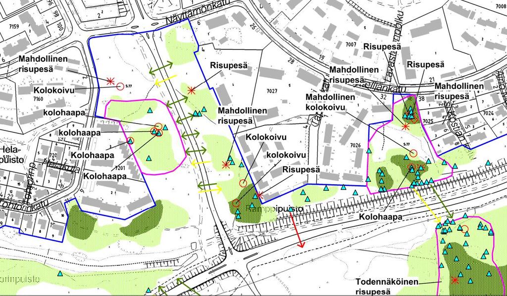 Tohtorinpuisto Tohtorinpuisto Kuva 8.