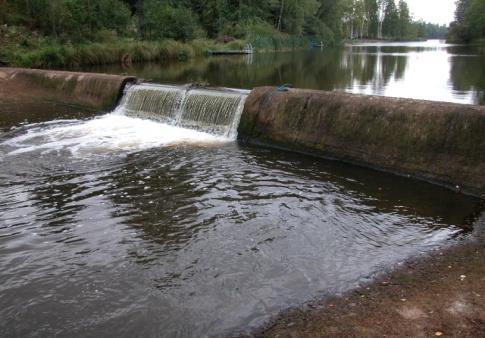 kasvualueiden häviäminen