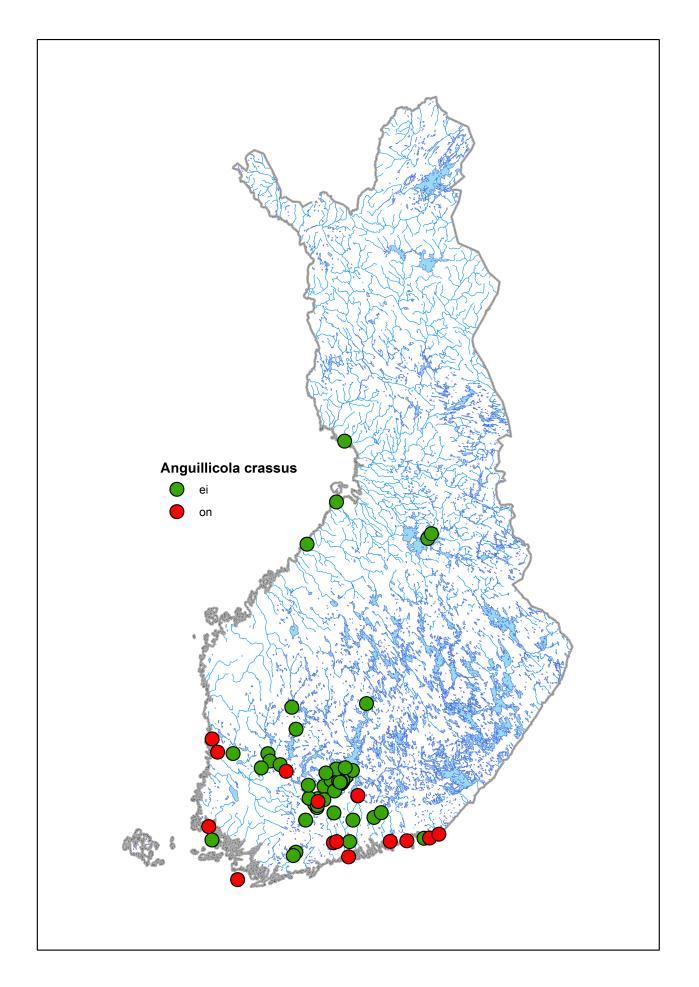 uintiin Vaikuttaa kutuvaelluksen