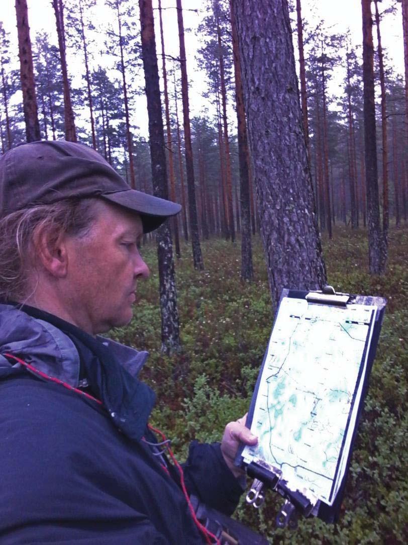 käpylintu, keltasirkku. Joillakin alueilla laskijan mielenkiinnon mukaan joitakin edellä mainittuja kuitenkin kartoitettiin ja niiden runsaus esitetään jäljempänä tulostaulukossa.