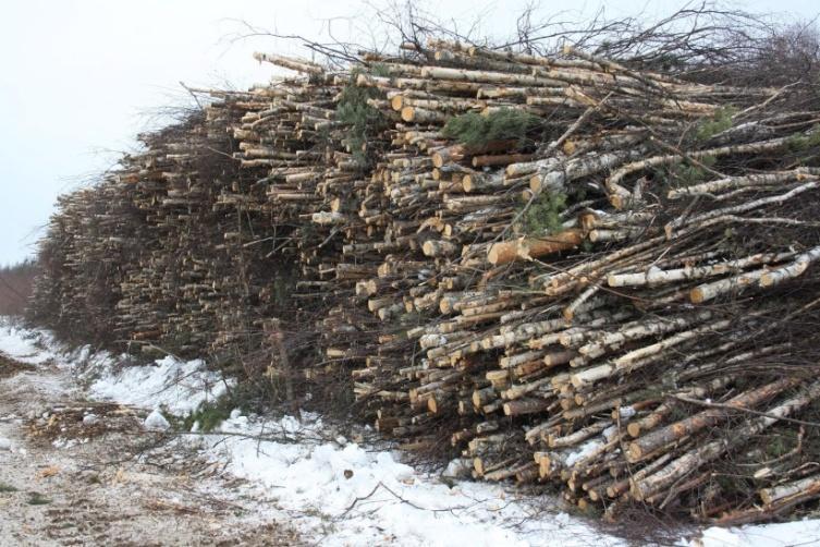 1. Tuhkan koostumus Suomessa syntyy energiantuotannon sivutuotteena puu- ja turvetuhkaa yhteensä noin 600 000 tonnia/vuosi Tuhkalla on hyvä neutralointikyky, ph 10-13 Tuhka ei sisällä juurikaan