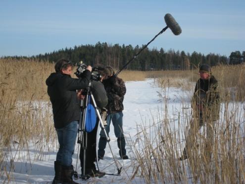 tahojen kanssa uusia ranta-alueiden hoidon ja