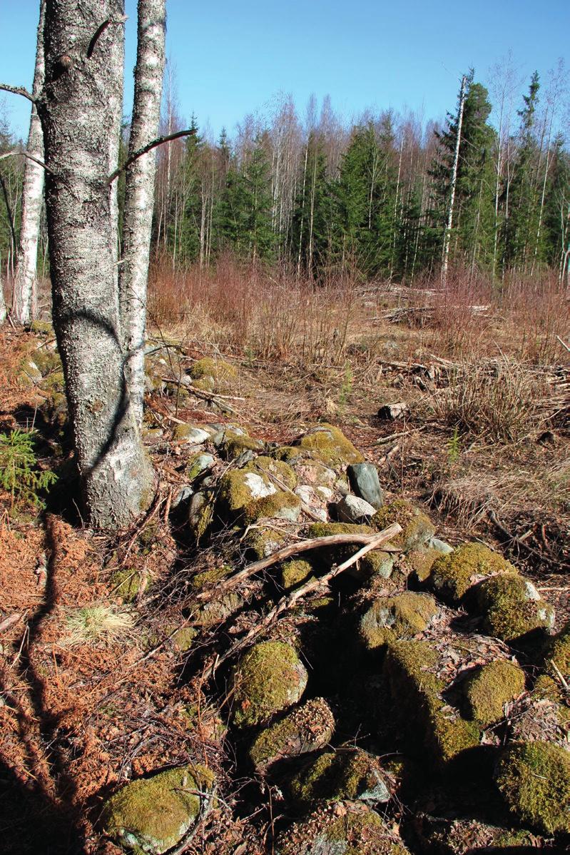 tareilla ja Torron kylän sekä Talpian alueen harjanteilla tavataan runsaammin ketolajistoa, mutta vaateliaat ketolajit puuttuvat alueelta muutamia ketoneilikkaesiintymiä (Dianthus deltoides) lukuun