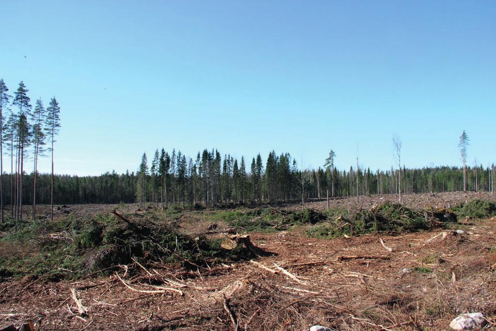 3. Tulokset 3.1 Osa-alueet Koska selvitysalue oli laaja, se jaettiin kolmeen osa-alueeseen, joista tehtiin yleinen kasvillisuuden, muiden luontoarvojen sekä maankäytön kuvaus.