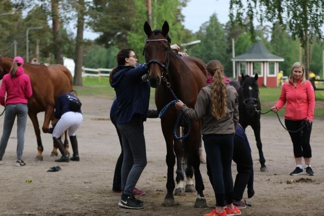 Niihama Ridingin kisatiimin Ypäjän kisaviikko Niihama Ridingin ahkerasti harjoitellut kisatiimi lähti kesäkuussa kisamatkalle Ypäjän kisaviikolle.