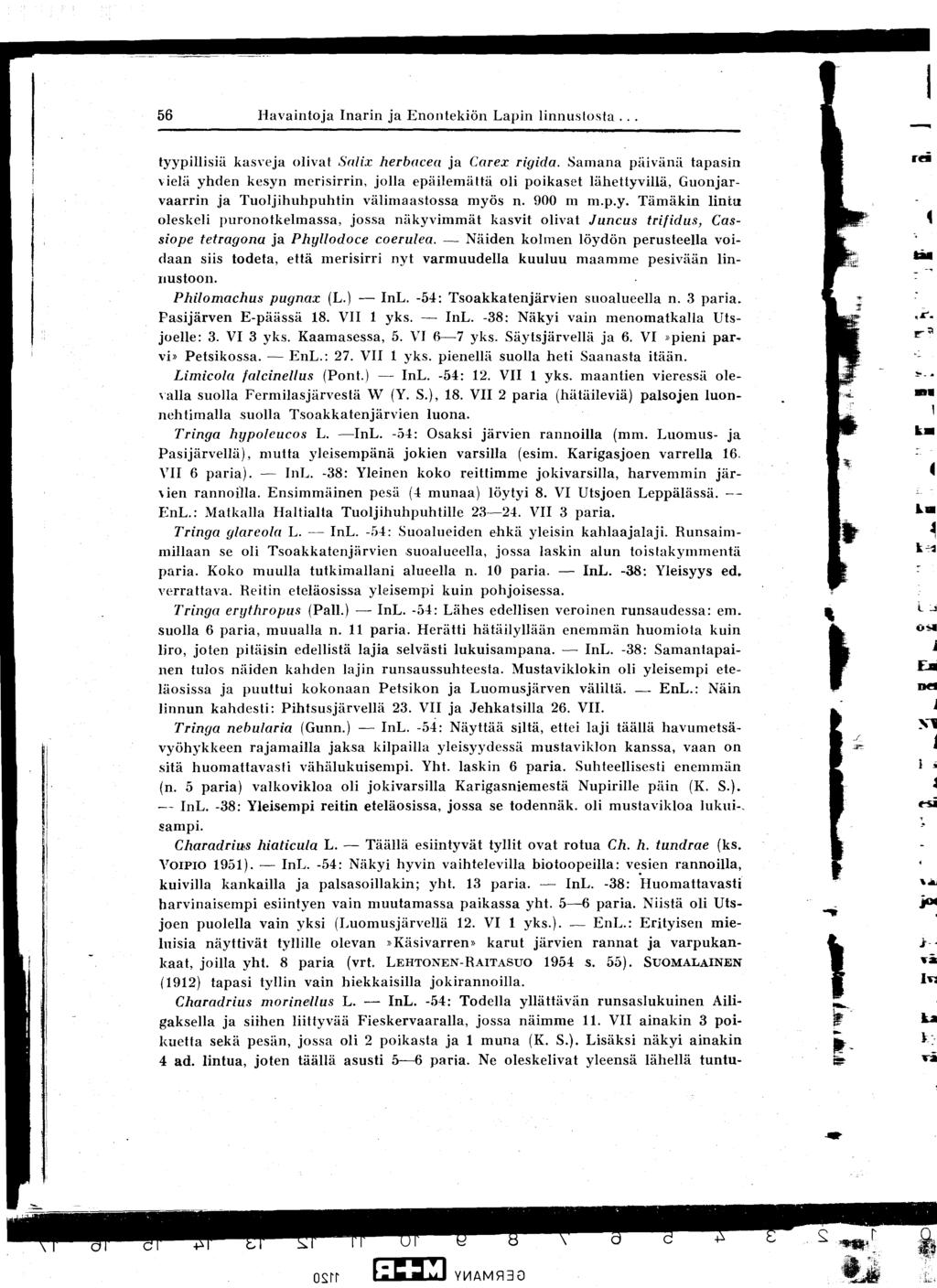 56 Havaintoja Inarin ja Enontekiön Lapin linnuslosta... tyypillisiä kasveja olivat Solix herbacea ja Carex rigida.