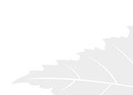 OSAKEKANTA OSAKKEENOMISTAJA- RYHMITTÄIN 31.12.