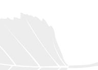 kpl 1 2 8 6 4 2 8 6 4 2 1 5 1 5 Kotitaloudet Johto 77,1 % 5,8 % Rahoitus- ja