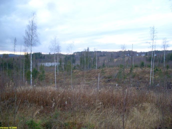 3 Kirkonkylän länsipuolella, em. harjusta pohjoiseen on laaja hiekkainen alue länteen laskevan rinteen alaosassa.