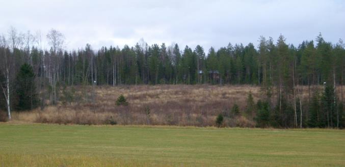 Huomattava osa tästä hiekkakerrostuma-alueesta (paikoin kivistä hiekkamoreenia) oli laikutettua metsää.